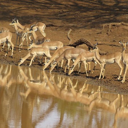 Sable Creek Safari Lodge تزانين المظهر الخارجي الصورة
