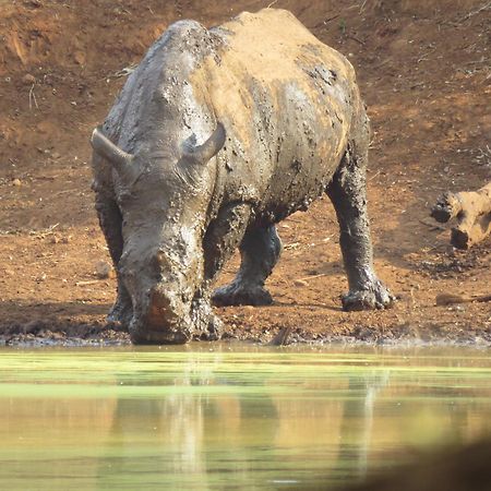 Sable Creek Safari Lodge تزانين المظهر الخارجي الصورة