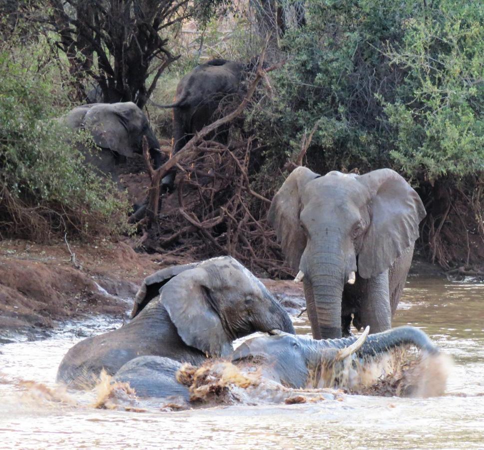 Sable Creek Safari Lodge تزانين المظهر الخارجي الصورة