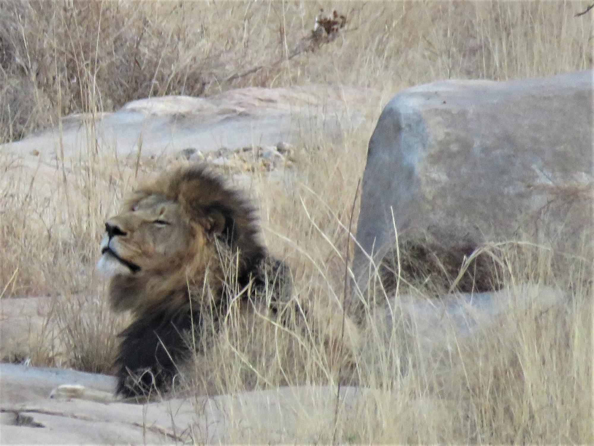 Sable Creek Safari Lodge تزانين المظهر الخارجي الصورة