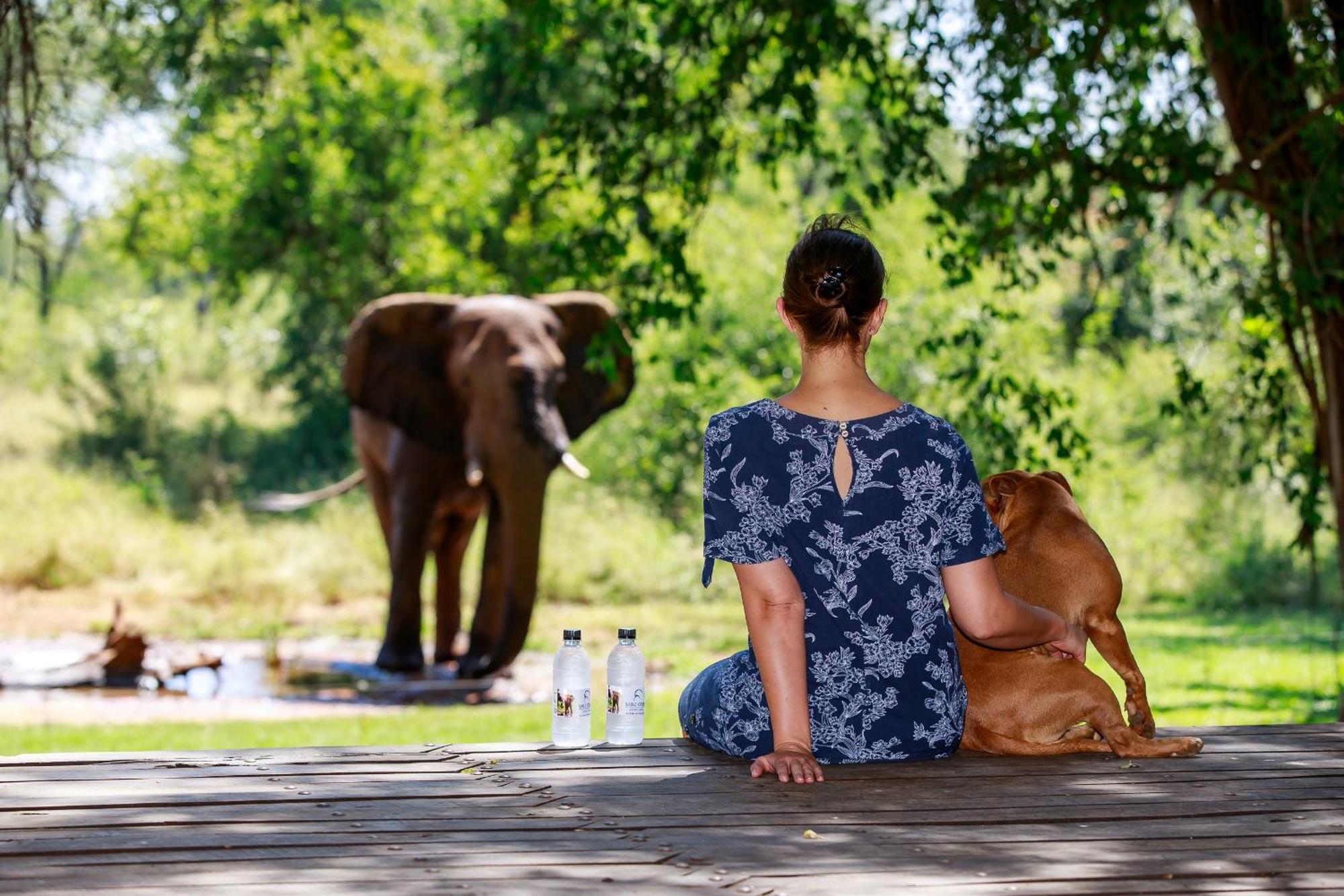 Sable Creek Safari Lodge تزانين المظهر الخارجي الصورة
