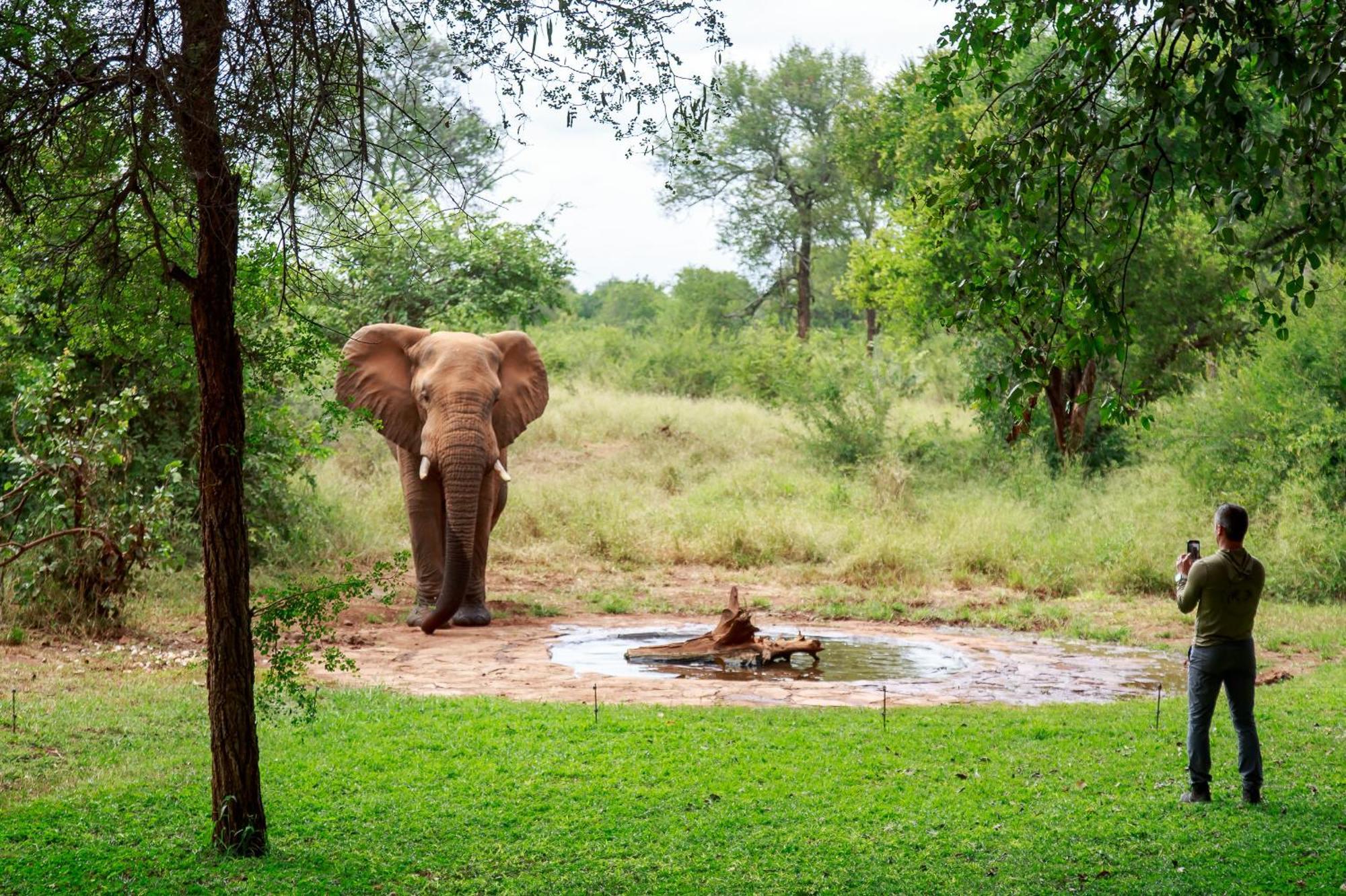 Sable Creek Safari Lodge تزانين المظهر الخارجي الصورة