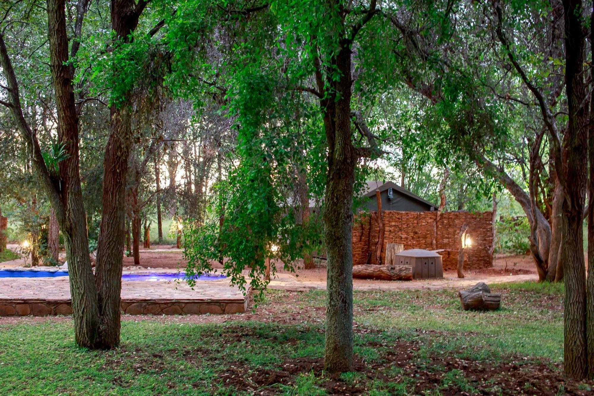 Sable Creek Safari Lodge تزانين المظهر الخارجي الصورة